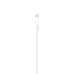 Apple Lightning USB Cable 1m
