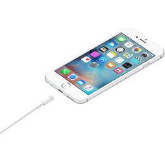 Apple Lightning USB Cable 1m