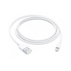 Apple Lightning USB Cable 1m